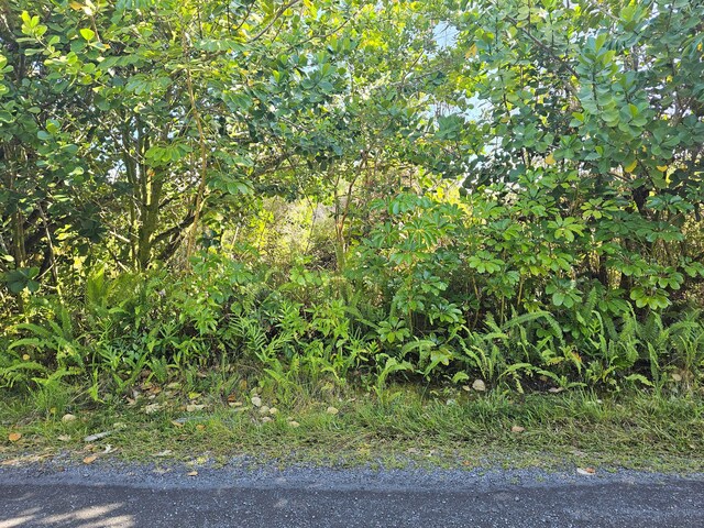 Kukane Rd, Keaau, HI 96749