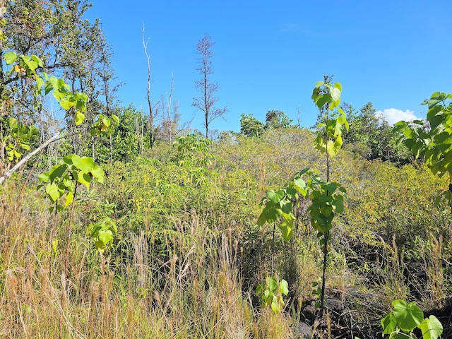 Kukane Rd, Keaau, HI 96749