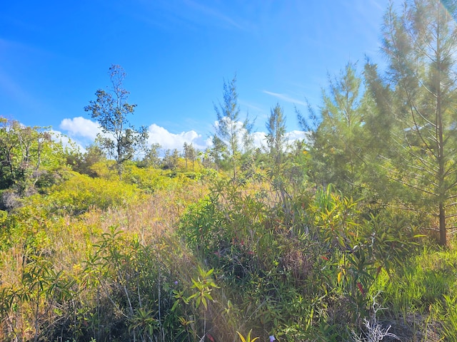 Kukane Rd, Keaau, HI 96749