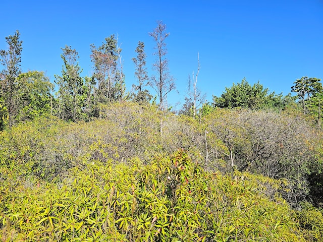 Kukane Rd, Keaau, HI 96749