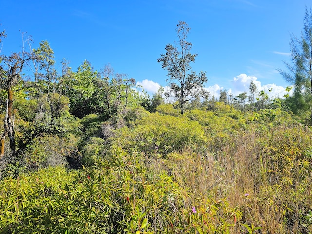 Kukane Rd, Keaau, HI 96749