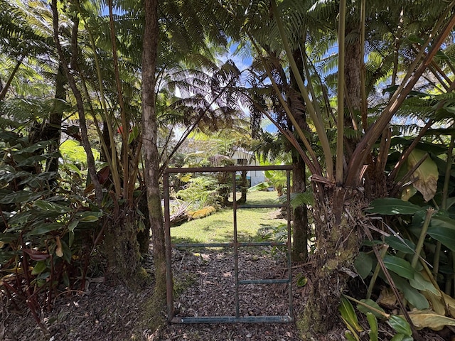 11-3927 8th St, Volcano, HI 96785 - view of yard