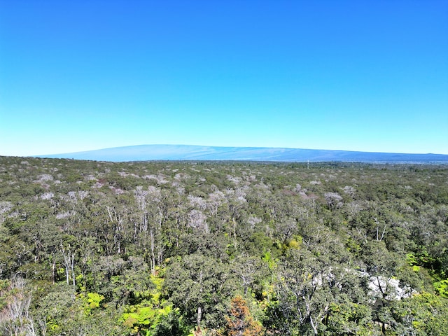 11-3927 8th St, Volcano, HI 96785 - mountain view with a forest