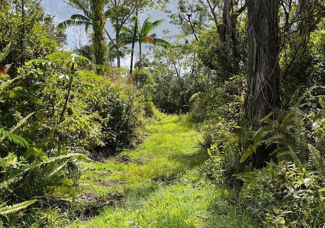 Kumakahi St, Pahoa, HI 96778