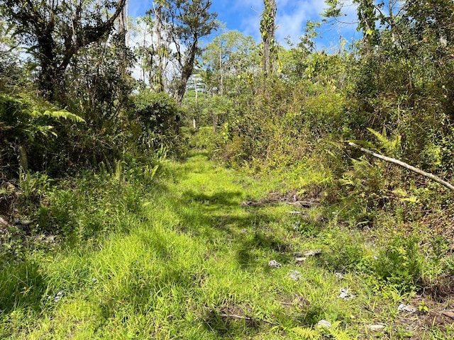 Kumakahi St, Pahoa, HI 96778
