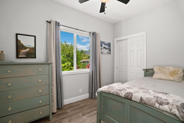 5970-A Heamoi Pl, Kapaa, HI 96746 - bedroom with light wood-type flooring, a closet, and ceiling fan
