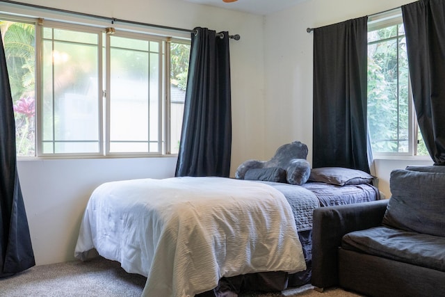 73-1599 Hao St, Kailua-Kona, HI 96740 - carpeted bedroom with multiple windows
