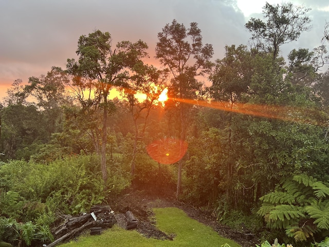 73-1599 Hao St, Kailua-Kona, HI 96740 - view of yard