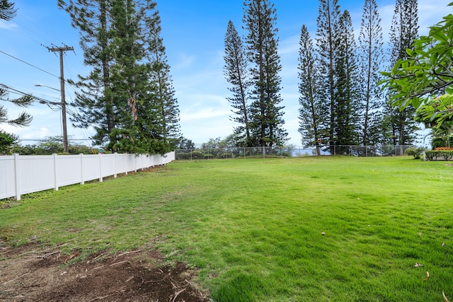 75-217 Nani Kailua Dr Unit 157, Kailua-Kona, HI 96740 - view of yard