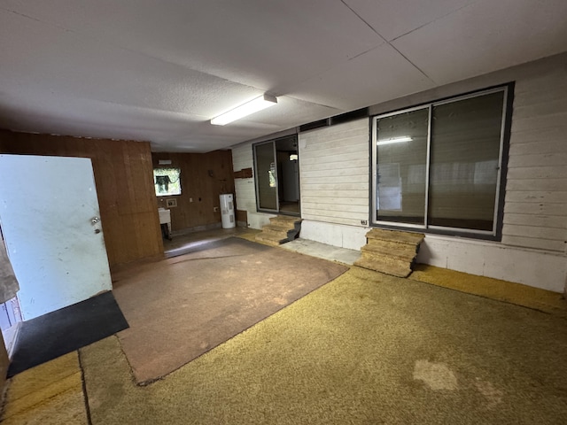 18-7855 Kulani Rd, Mountain View, HI 96771 - below grade area featuring wooden walls, carpet floors, and electric water heater