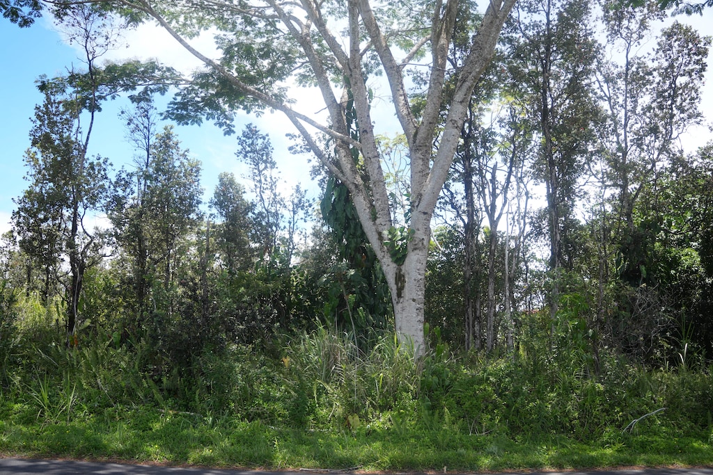 24th Ave, Keaau, HI 96749