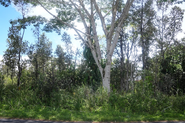 24th Ave, Keaau, HI 96749