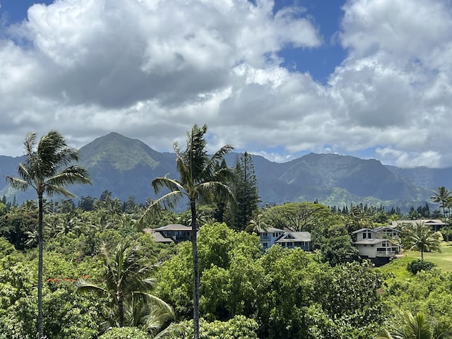 3700 Kamehameha Rd Unit D8, Princeville, HI 96722 - photo 3