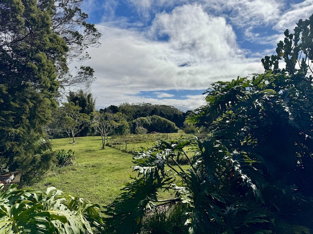 45-3463 Kahana Dr, Honokaa, HI 96727 - view of green lawn with a view of countryside