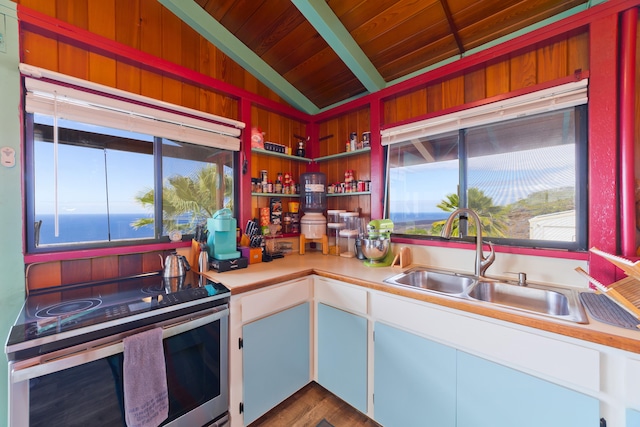 88-1544 Pikake Ave, Captain Cook, HI 96704 - kitchen with stainless steel electric stove, light countertops, open shelves, wooden ceiling, and dark wood finished floors