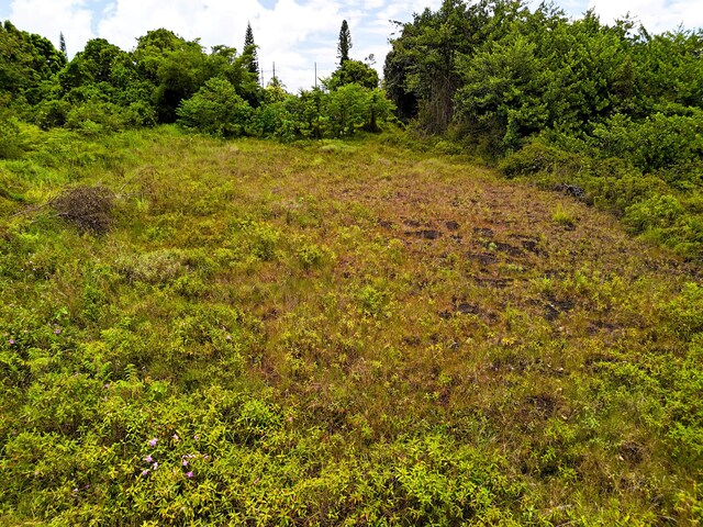 34th Ave, Keaau, HI 96760 - photo 10