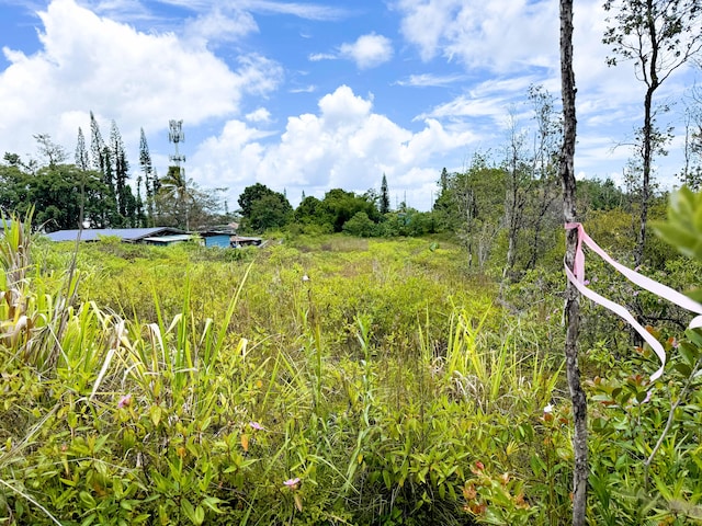 34th Ave, Keaau, HI 96760 - photo 14