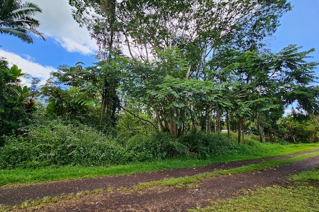 Priscilla Rd, Pahoa, HI 96778