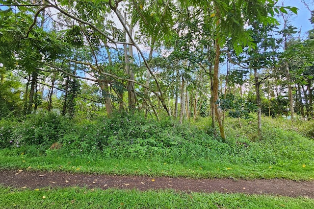Priscilla Rd, Pahoa, HI 96778