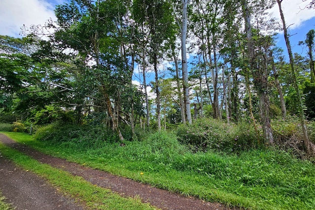 Priscilla Rd, Pahoa, HI 96778