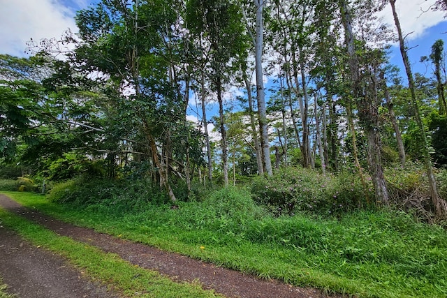 Priscilla Rd, Pahoa, HI 96778