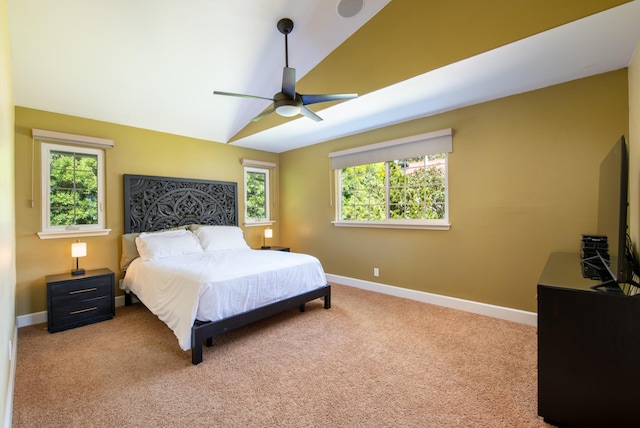 67-1302 Laikealoha St, Kamuela, HI 96743 - photo 11
