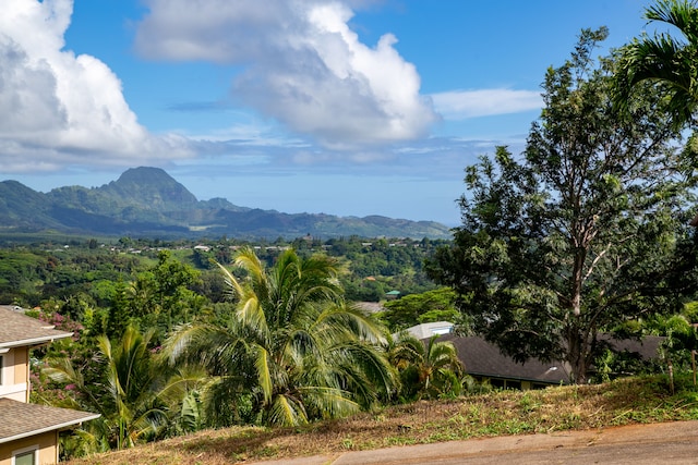 4278 Kai Ikena Dr, Kalaheo, HI 96741