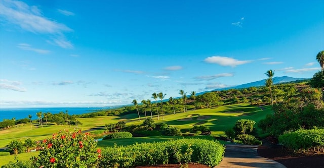 81-6624 Hiaaiono Pl, Kealakekua, HI 96750