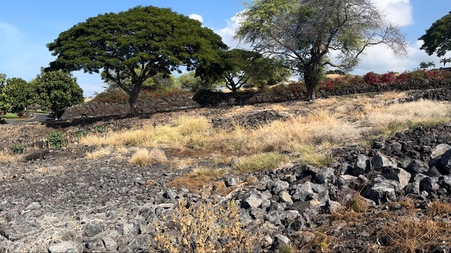 81-6624 Hiaaiono Pl, Kealakekua, HI 96750