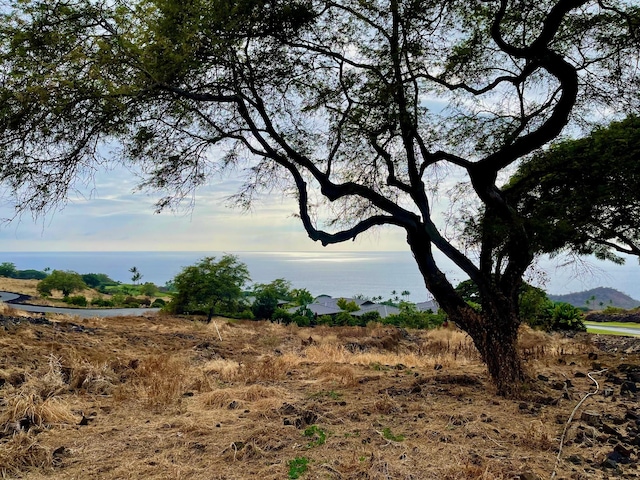 81-6624 Hiaaiono Pl, Kealakekua, HI 96750