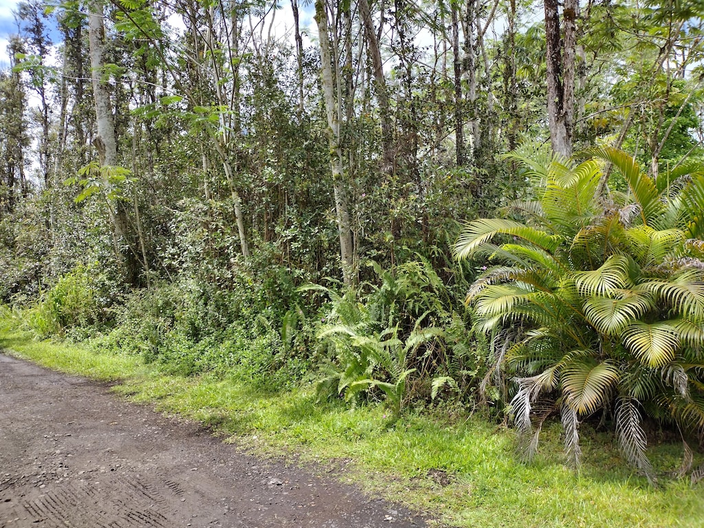 Hilo Rd Unit 1, Pahoa, HI 96778 - photo 1