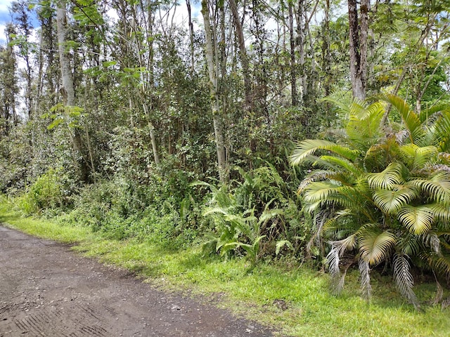 Hilo Rd Unit 1, Pahoa, HI 96778 - photo 1