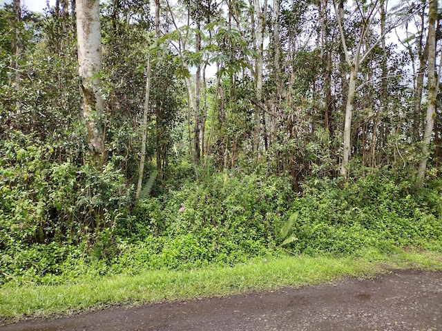 Hilo Rd Unit 1, Pahoa, HI 96778 - photo 2