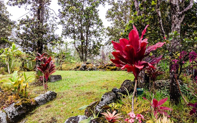 11-3082 Pa Alii St, Volcano, HI 96785 - view of grassy yard