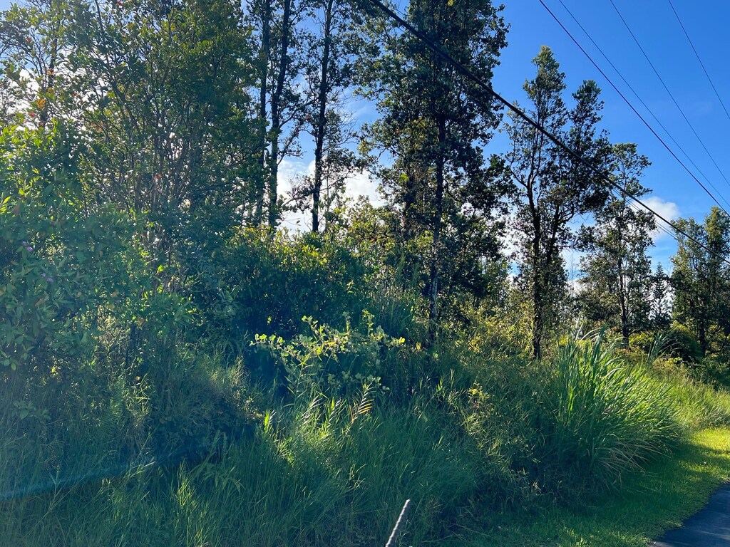Lehua, Mountain View, HI 96771