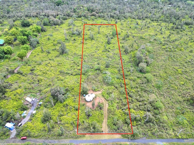 16-1277 Koloa Maoli Rd, Kurtistown, HI 96760 - photo 16