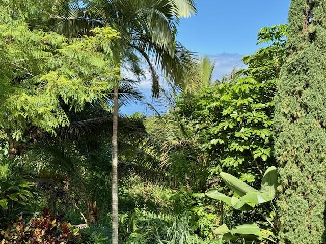 78-6694 Mamalahoa Hwy, Holualoa, HI 96740 - view of nature