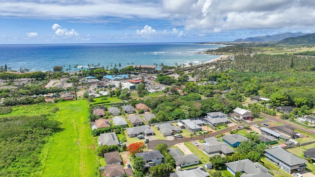 387 Miulana Pl, Kapaa, HI 96746 - photo 22
