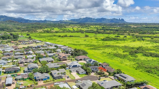 387 Miulana Pl, Kapaa, HI 96746 - photo 24