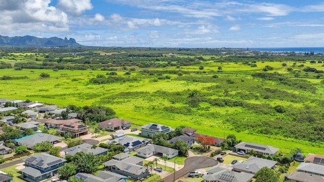 387 Miulana Pl, Kapaa, HI 96746 - photo 25