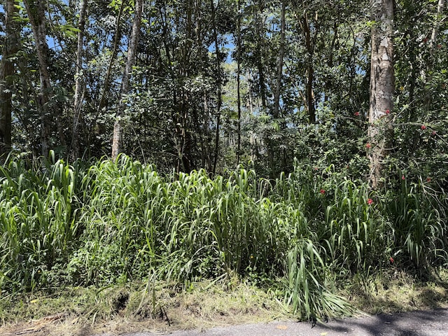 11th Ave, Keaau, HI 96749