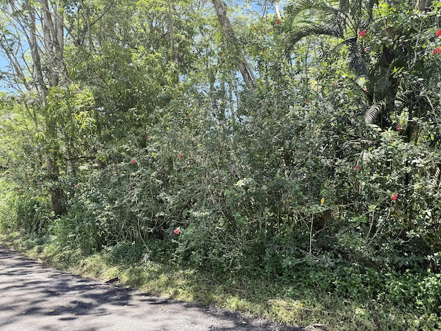 11th Ave, Keaau, HI 96749