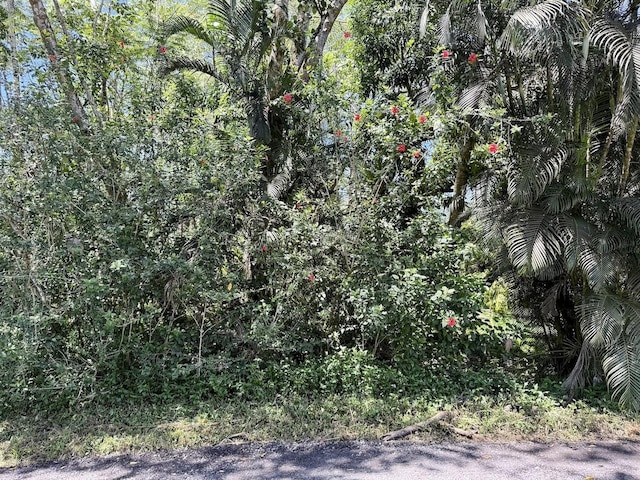 11th Ave, Keaau, HI 96749