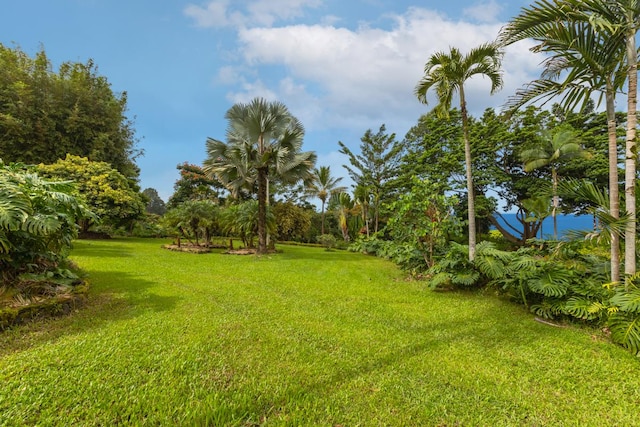 75-5341 Keopu Pl, Holualoa, HI 96725 - photo 24