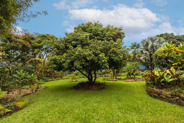 75-5341 Keopu Pl, Holualoa, HI 96725 - photo 25