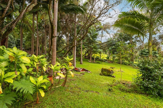 75-5341 Keopu Pl, Holualoa, HI 96725 - photo 26