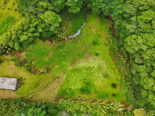 1636-B Huli Rd, Kilauea, HI 96754 - photo 15