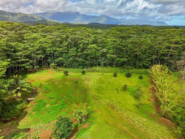 1636-B Huli Rd, Kilauea, HI 96754 - photo 16