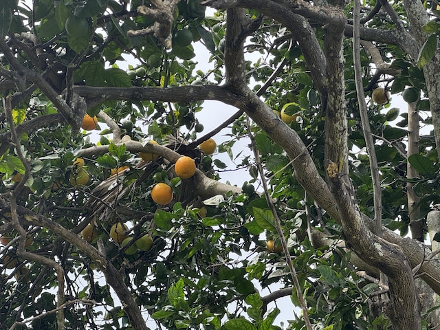 73-1391 Hiolani St, Kailua-Kona, HI 96740