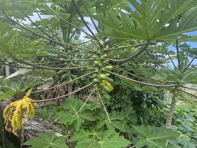 73-1391 Hiolani St, Kailua-Kona, HI 96740
